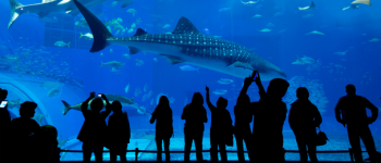 Parenthses dcouvertes