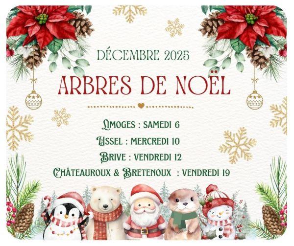 Arbres de No&euml;l 2025
